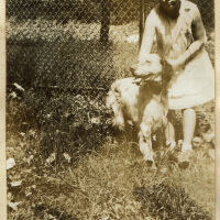 Taylor Park: Playground Pet Show, 1930