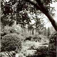 Wodell & Cottrell: Bancroft Gheradi Garden, May 1934