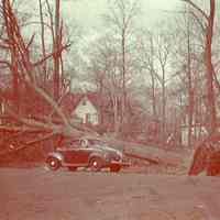          Hurricane: Aftermath, November 24, 1950 picture number 5
   