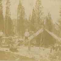          Bosworth: Camping photographs picture number 2
   