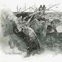          Plate 14
   