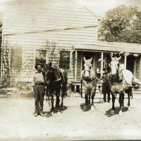 Marshall-Schmidt Album: Two Men With Horses Outside a House