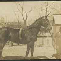          Gowanlock's Livery Photograph, c. 1900-1915 picture number 1
   