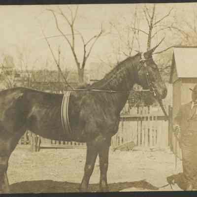 Gowanlock's Livery Photograph, c. 1900-1915