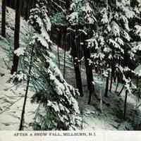          After a Snow Fall, Millburn, NJ, 1915 picture number 1
   