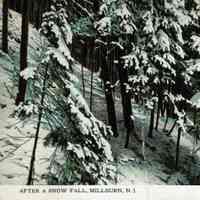 After a Snow Fall, Millburn, NJ, 1915