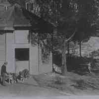          From Negatives in Collection
   