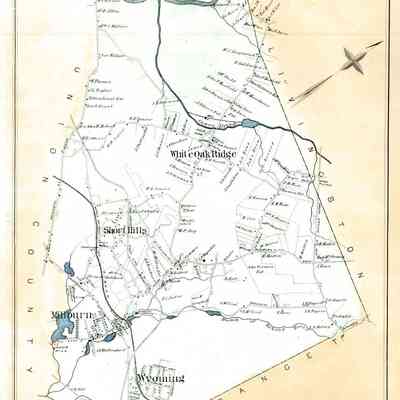 Map: Robinson's Atlas of Essex County, Millburn, 1881
