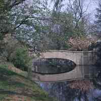 Taylor Park: Upper Bridge in Taylor Park