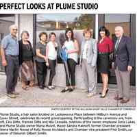          Hair Salon: Plume Studio Gift Card picture number 3
   