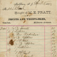Blood Estate: Pratt Fruits and Vegetables Receipt, 1893