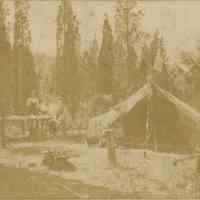          Bosworth: Camping photographs picture number 3
   