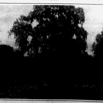 Newark Sunday Call, June 27, 1926