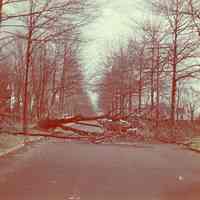          Hurricane: Aftermath, November 24, 1950 picture number 7
   