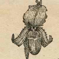          Pitcher and Manda: Envelope with stamp picture number 3
   