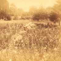 Hartshorn Album 3: Stone Wall with Railroad Tracks in Distance