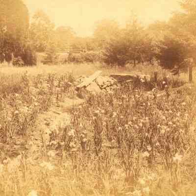 Hartshorn Album 3: Stone Wall with Railroad Tracks in Distance