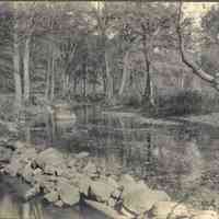 Hartshorn: Cora Hartshorn Photograph of Rahway River in South Mountain Reservation