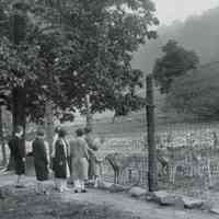          Deer Paddock at South Mountain Reservation, 1928
   