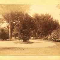          Hartshorn Album 3: Tree in Short HIlls Park Area picture number 2
   