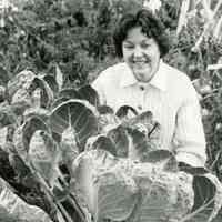          Bolt: Mrs. Donald Bolt Showing Off Her Prize Winning Brussels Sprouts, 1979 picture number 1
   