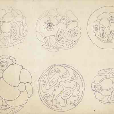 Snow: Nature Design Study