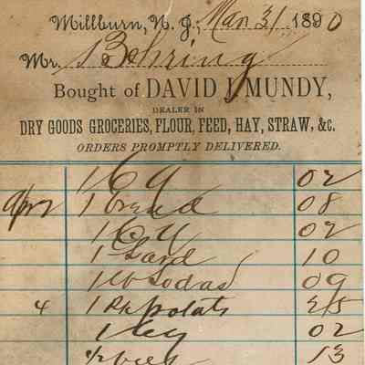 Mundy: Receipt from David J. Mundy's Store, March 1890