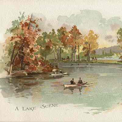 Plate 17