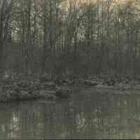 Hartshorn Photo Album 2: Trout Pond