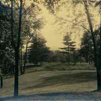 Hartshorn Album 3: View of Clearing Near Railroad Tracks