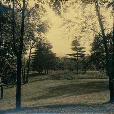 Hartshorn Album 3: View of Clearing Near Railroad Tracks