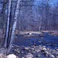 South Mountain Reservation: Pond