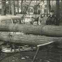 Hurricane: Hurricane Damage at Montview Avenue and Delwick Lane, 1950