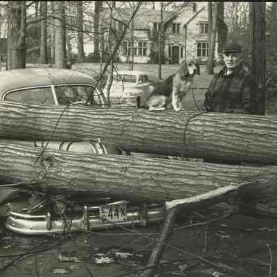 Hurricane: Hurricane Damage at Montview Avenue and Delwick Lane, 1950