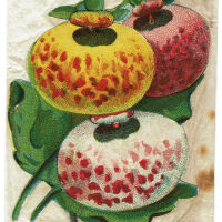 Blood: Bookmark made by Marianne Blood