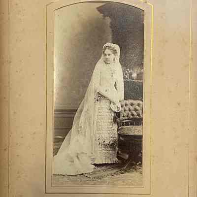 Brison: Family Album 15