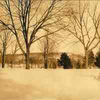 Hartshorn Photo Album Short Hills: Trees and Mountain in Winter