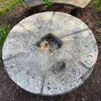          Photograph by Dorothy Kelly, June 5, 2025
   