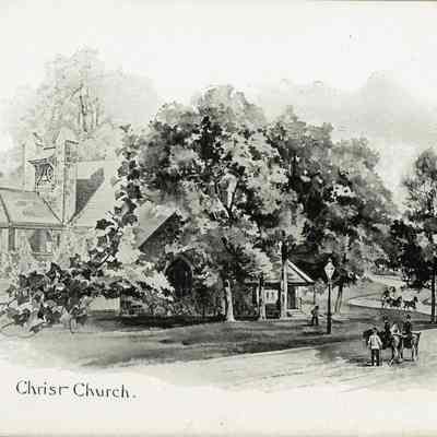 Plate 19