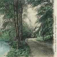          Brookside Drive: Brookside Road, South Mountain Reservation picture number 1
   