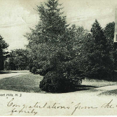 Postally used, postmark August 1907
