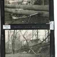          Hurricane: Hurricane Damage at Montview Avenue and Delwick Lane, 1950 picture number 2
   