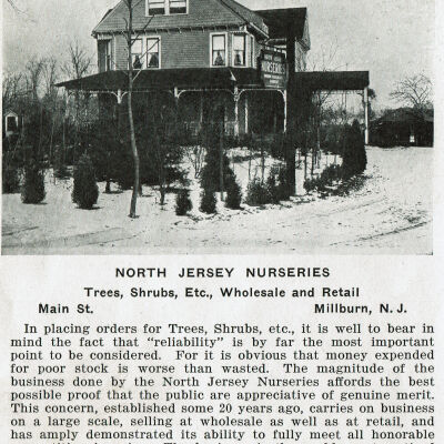 New Jersey Nurseries, c. 1915