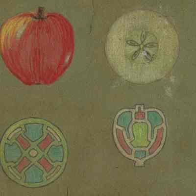 Snow: Student Study of Apple and Design