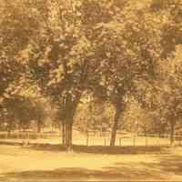          Hartshorn Album 3: Casino Club Tennis Courts picture number 1
   