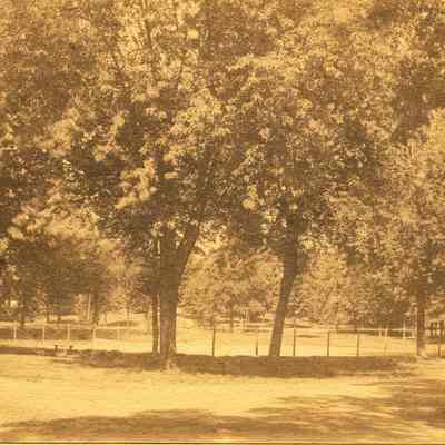 Hartshorn Album 3: Casino Club Tennis Courts