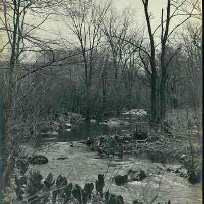 Hartshorn Photo Album 2: The Trout Pond Brook