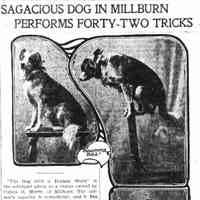          Newark Evening News, August 24, 1902
   