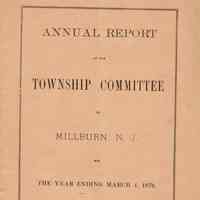 Township Committee: Annual Report, 1879