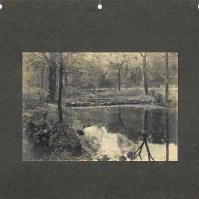 Hartshorn: Cora Hartshorn Photographs of South Mountain Reservation